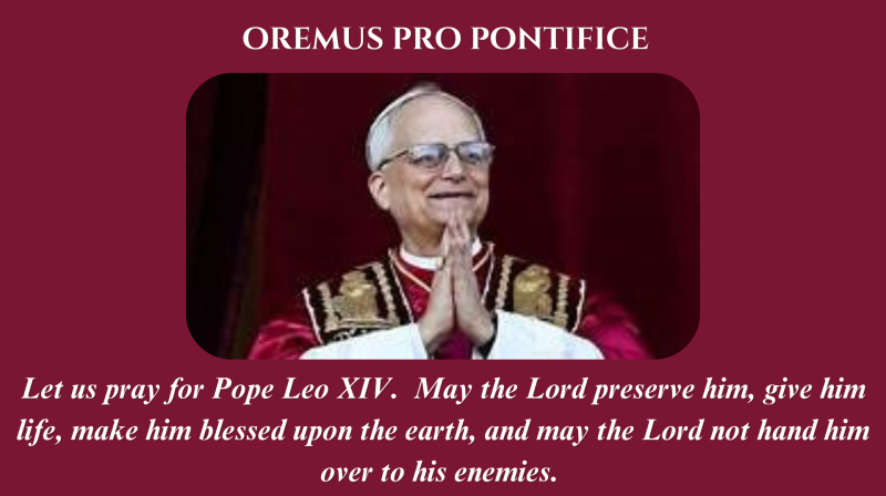 Pope Leo XIV