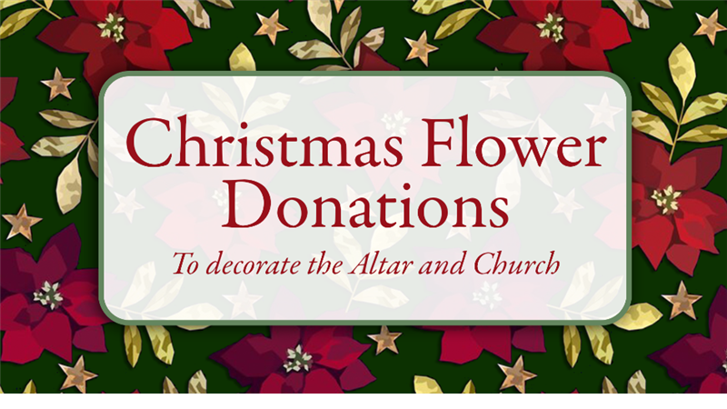Christmas Flowers