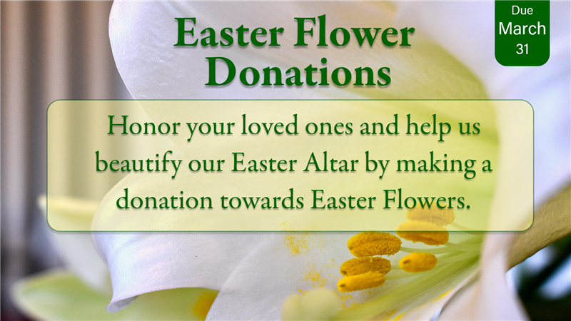 Easter Flower Donations