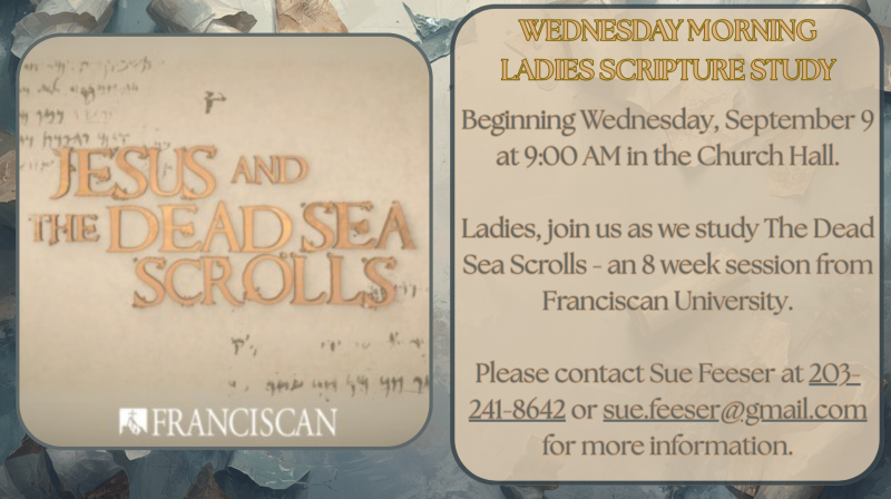 Fall 2026 Women's Scripture Study